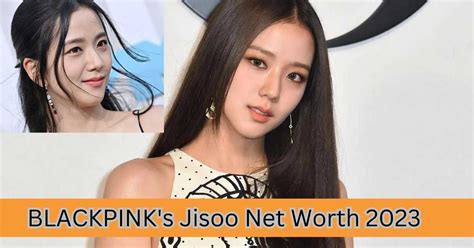 how much dior pay jisoo|jisoo net worth.